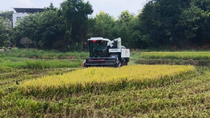 XR720跨區水稻機，高效作業促豐收